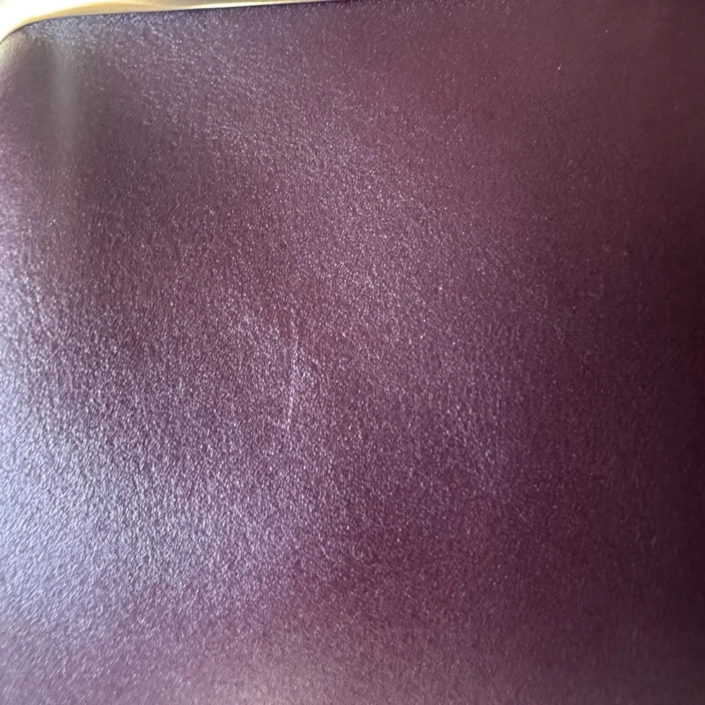 Coach Large Kisslock Frame Bag - Picture 6 of 16